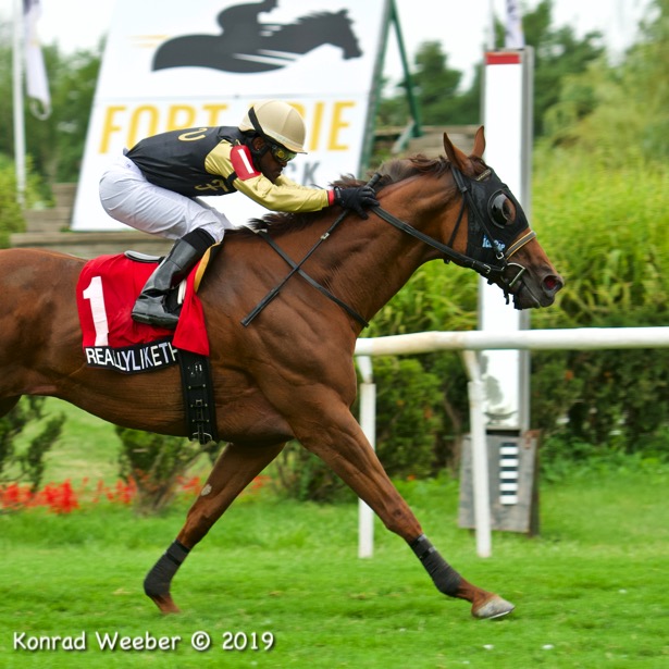 In Photos Winning Puss N Boots Cup Connections Take A Dip